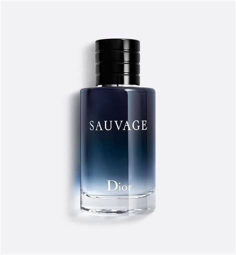 kruidvat dior|Sauvage: de wereld van de iconische herengeur van Dior .